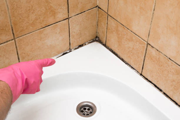 Best Residential Mold Removal  in Alexandria, LA